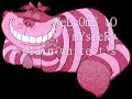 Welcome to Mystery - Lyrics (Plain White T's) from official Alice in Wonderland Soundtrack