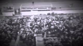 8JVIpZnJ8D8 Video Image