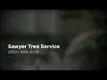Sawyer Tree Service - (850) 866-5219