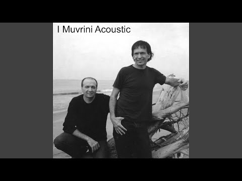 Alma Video