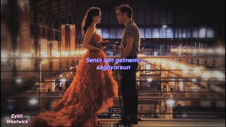 Shawn Mendes, Camila Cabello – Señorita (Türkçe Çeviri)