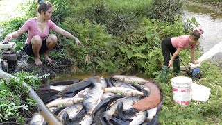 Top Video: Modern Technology To Catch Big Fish - Pump Fishing Technique - Trap Skills To Catch Fish
