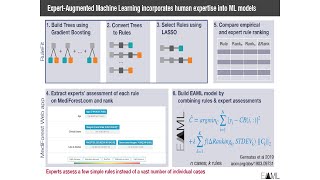 Expert Augmented Machine Learning