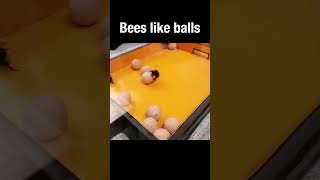 Bees Like Balls