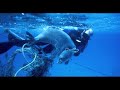Great Pacific Garbage Patch - Song & Video - "Doldrums"