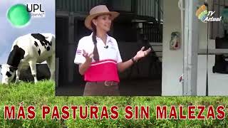 Daluz - TV Actual Julio 2022