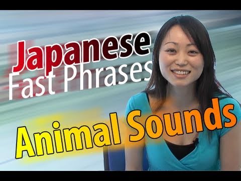 Learn Japanese Fast Phrases -- Daily Onomatopoeia "Animal Sounds ...