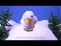 Ducks Love Hoodoo!