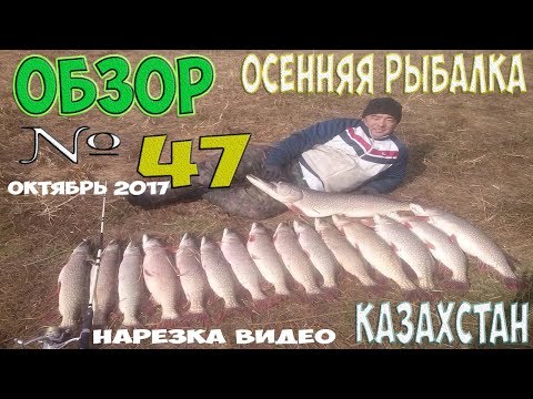 хорошая рыбалка в астане хорошая рыбалка в астане