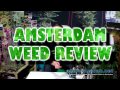 KANDY KUSH X LA CON Voyagers Coffeeshop (DNA Genetics) Amsterdam Weed Review