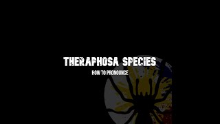 How To Pronounce Theraphosa Stirmi