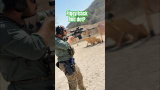 M21 With Piggy Back Red Dot