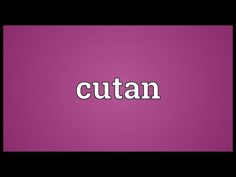 Header of cutan