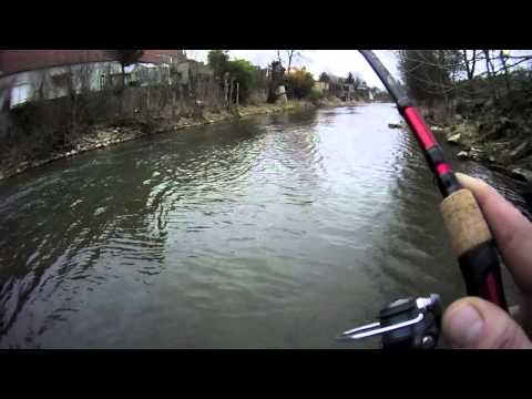 Sortie Test Decathlon Shimano Catana 2012