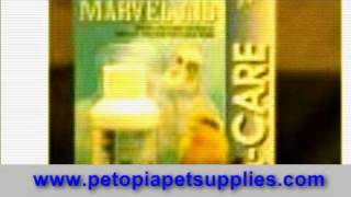 Pet Stores, pets supply, pet supply online, wholesale pet supplies