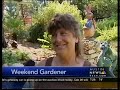 The Weekend Gardener