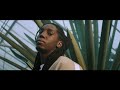 Plmv Video preview