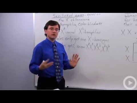 Sex linked traits multiple choice questions