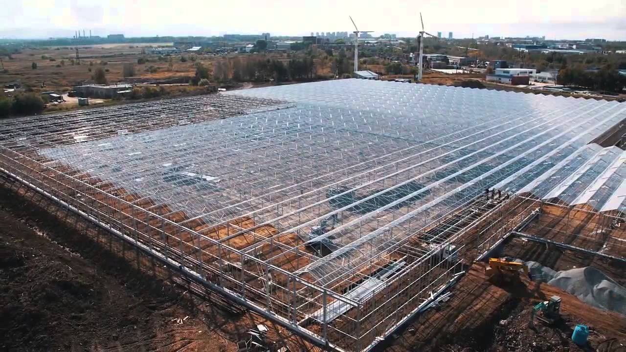 Парники строительство видео Парники строительство видео