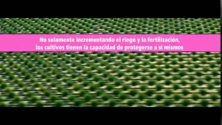 Stoller Tecnología (Ciencia) de Avanzada