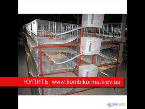 Как сделать поилку для кроликов своими руками Как сделать поилку для кроликов своими руками
