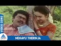 Kakkai Siraginilae Tamil Movie Songs | Nenavu Therinja Video Song | Parthiban | Preetha | Ilayaraja