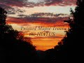 Twisted Maple Trees / the HIATUS