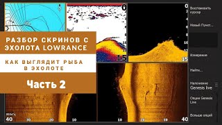 Как выглядит рыба в эхолоте? Часть 2. Разбор скринов с эхолота Lowrance HDS Live 9«, Elite Ti2 9».