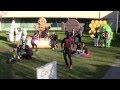 The Harlem Shake (Google Office Edition)