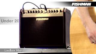 Fishman Loudbox Mini PRO-LBX-500 60