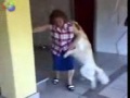 Perro violando a mujer XD