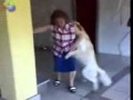Perro violando a mujer XD