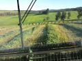 swathing