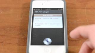 Lingual Use Siri To Translate