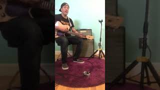 Foppstar Amps - The Gentleman #1 (Attenuator Clean Boost)