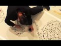 Japanese calligraphy Live performance.