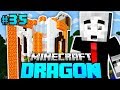 DAS ist DIE RACHE!! - Minecraft Dragon #35 [Deutsch/HD]