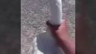 Video mas viral de facebook 2018!