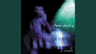 Watch Peter Murphy Angelic Harmony video