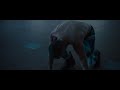 Caught In A Wave Video preview
