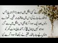 sabaq amoz kahani/ lalach buri bala hai/لالچ بری بلا ہے