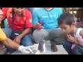 image Budidaya Kroto Desa Tenaru