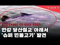 Download 한강 당산철교 아래 길이 1m 넘는 '초어' 발견 / YTN 한강 당산철교 아래 길이 1m 넘는 '초어' 발견 / YTN