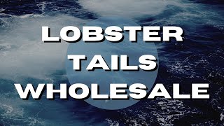 | Frozen Lobster Tails Wholesale Prices Competitive  | 954-245-1244