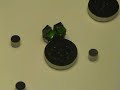 Robots Evolve Cooperative Behavior