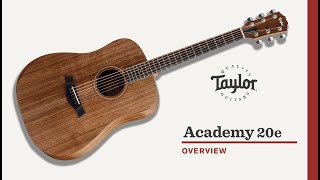 Taylor Guitars | Academy 20e | Video Overview