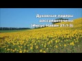 Тихое время с Живой Жизнью: Иисус Навин 21:1–7 (21082016)