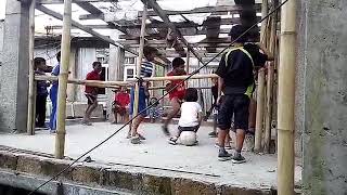 Lps Pawng Fight