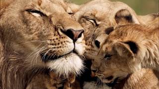 Henry Purcell. Passacaglia: "How happy the lover" King Arthur