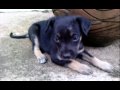 Foto pequena Kika Filmado com LG KF755